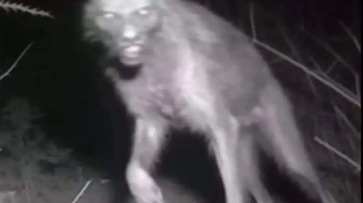 HISTORIAS PARANORMALES_FANTASMAS_MX