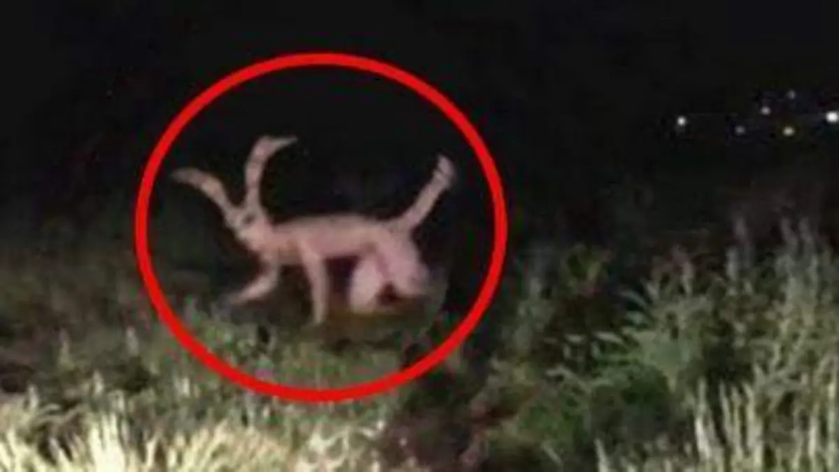 HISTORIAS PARANORMALES_FANTASMAS_MX