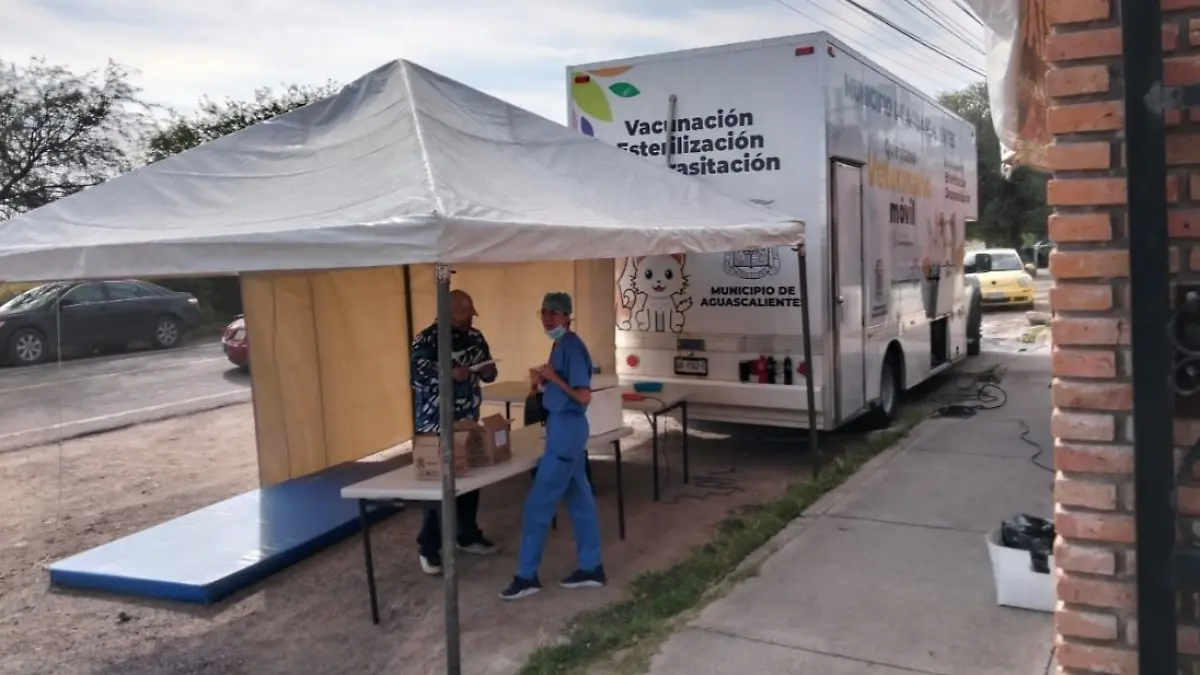 ESTERILIZACIONES-MASCOTAS-LOS NEGRITOS