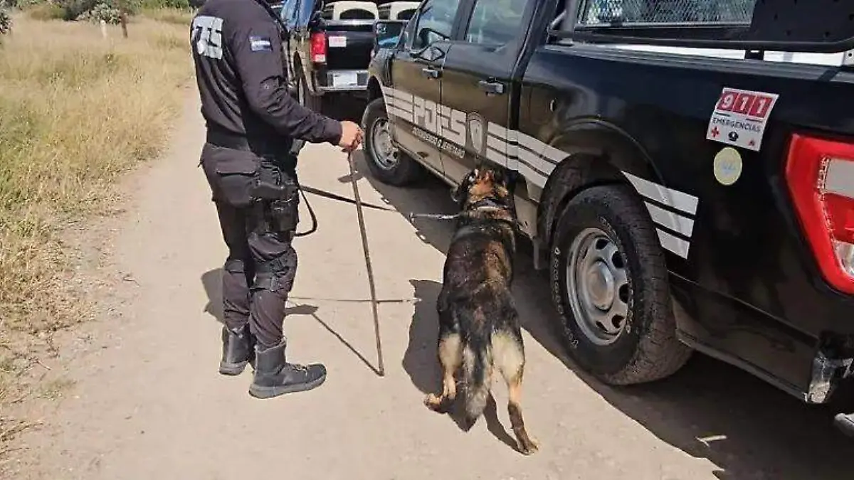 DESAPARECIDA_ÁNGEL_FEMINICIDIO