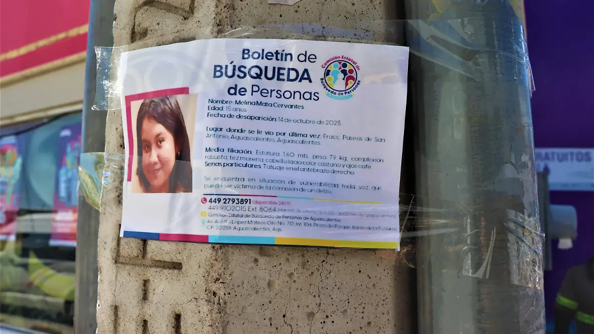 DESAPARICIONES-BUSQUEDA-PREVENCION