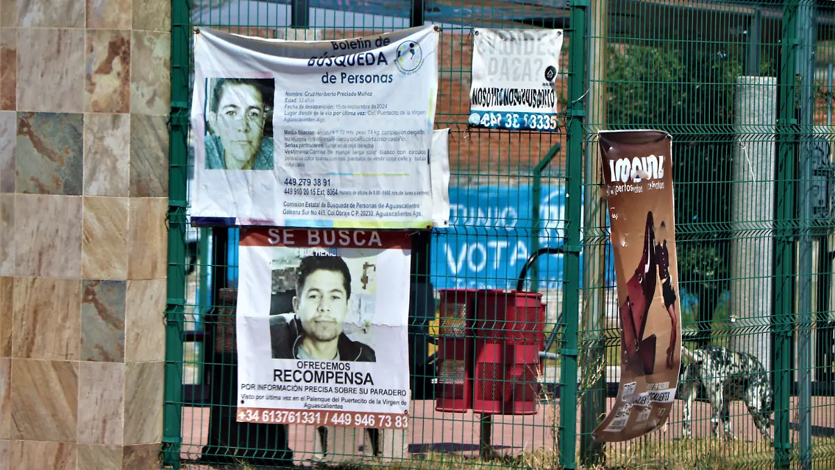 DESAPARICIONES (2)