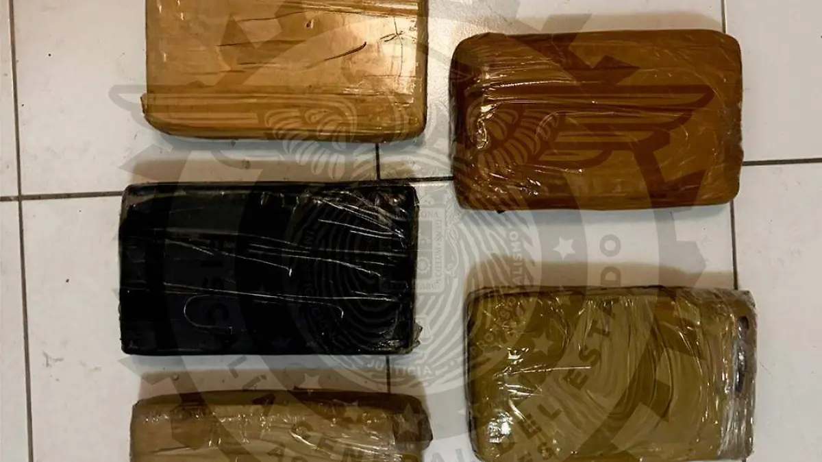 FGE GENERAL_SEGURIDAD_AUTORIDADES_CATEO