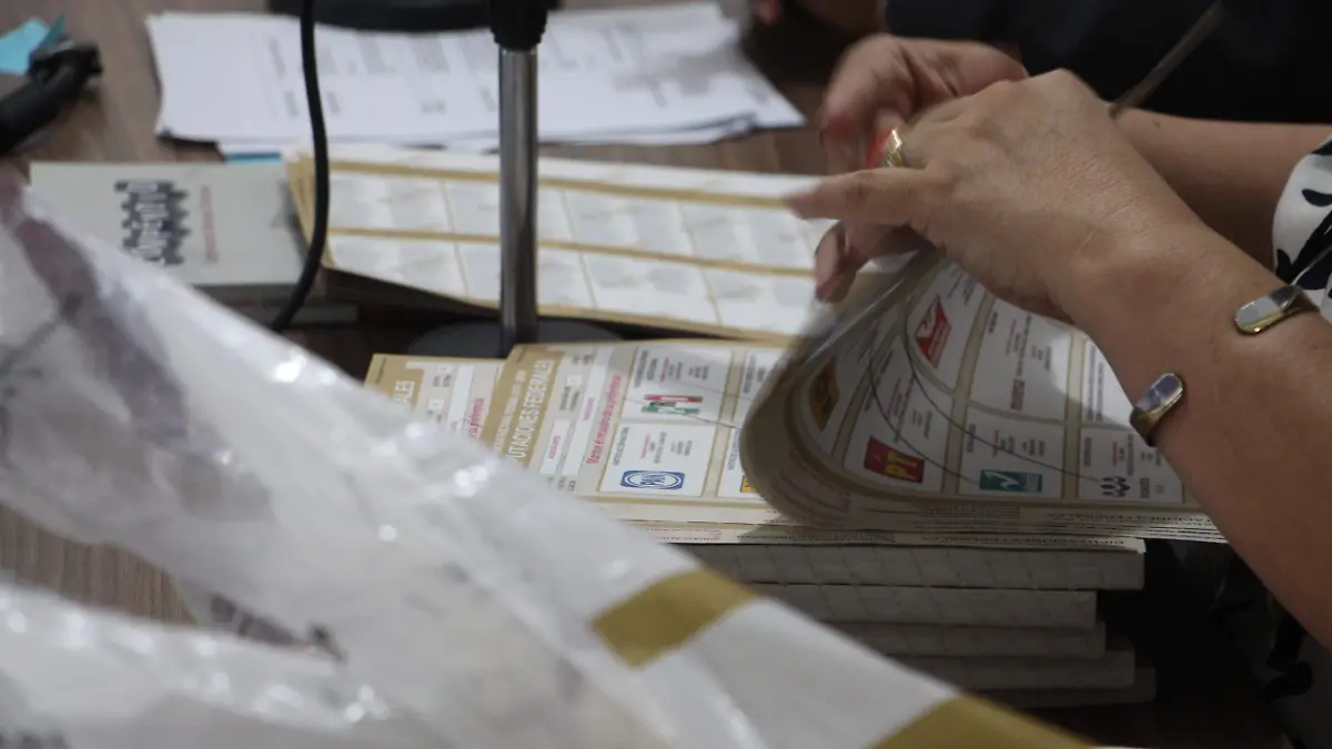 PAN_PERFILES_ELECCIONES