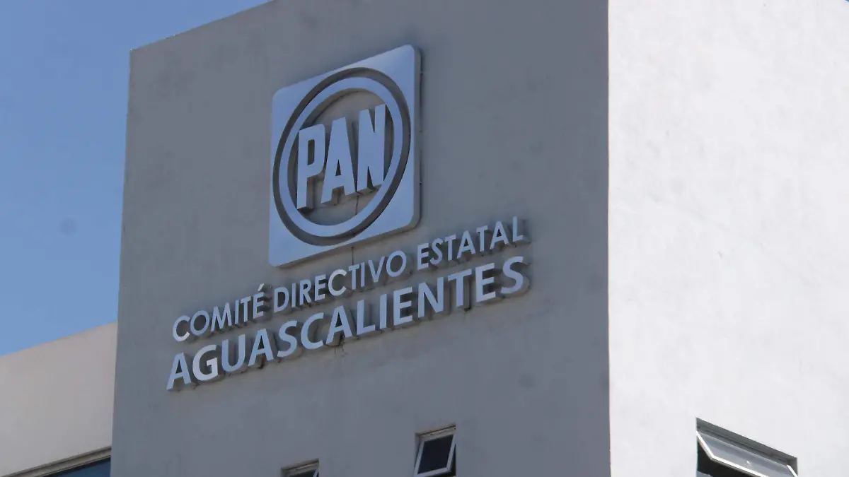 PAN_PERFILES_ELECCIONES