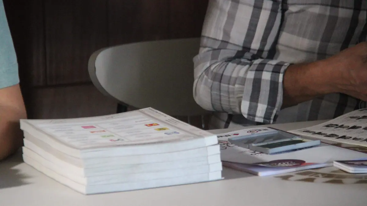  PAN, PERFILES, ELECCIONES (4)
