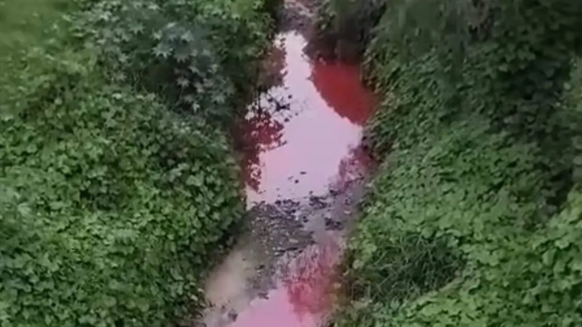 AGUAS ROJAS (1)
