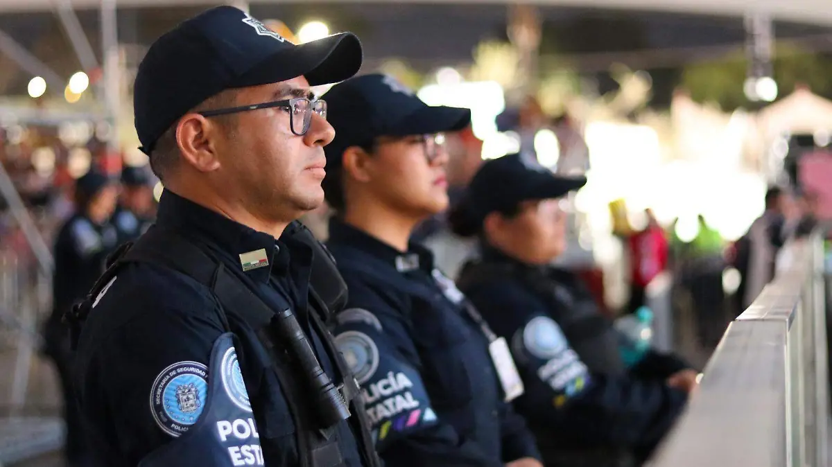 SEGURIDAD FESTIVAL