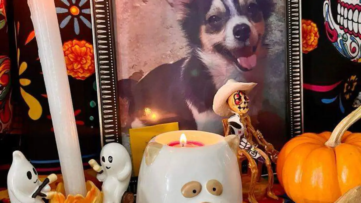 OFRENDA_MASCOTAS_ALTARES_DIA DE MUERTOS