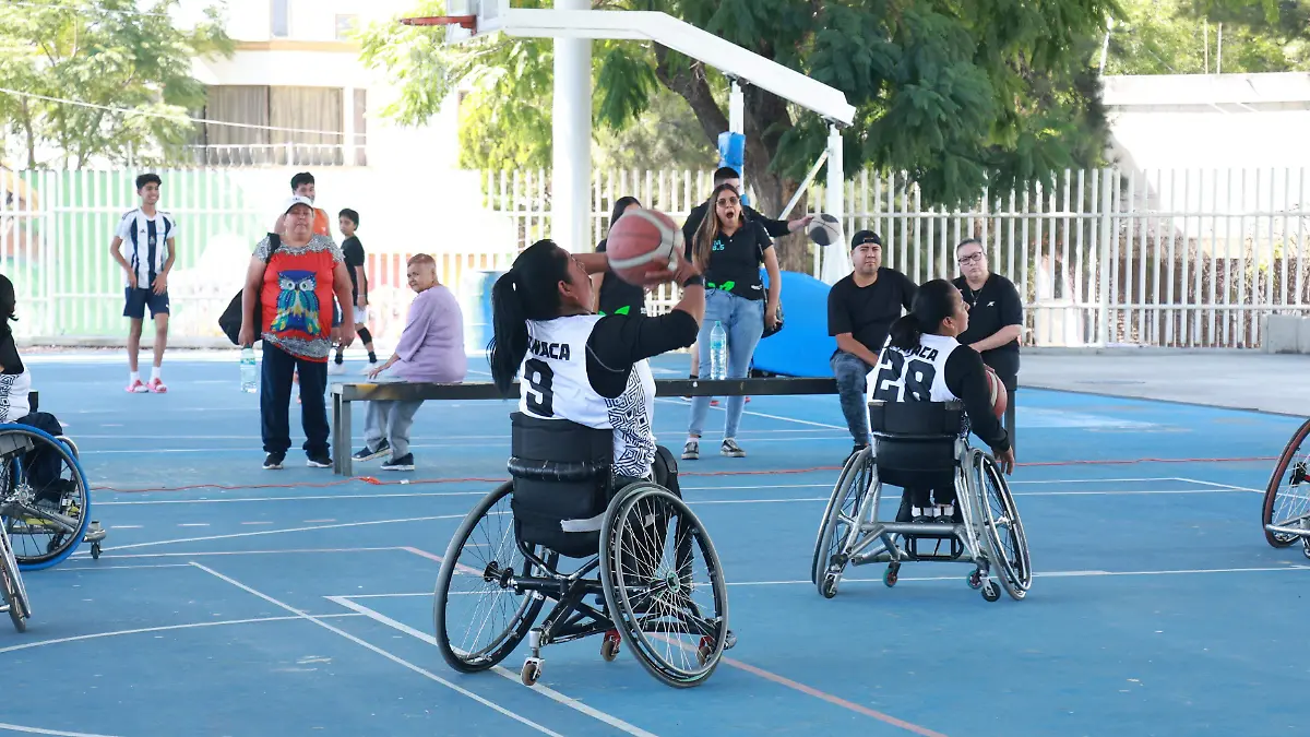 FISI_DEPORTE_FESTIVAL DE CALA