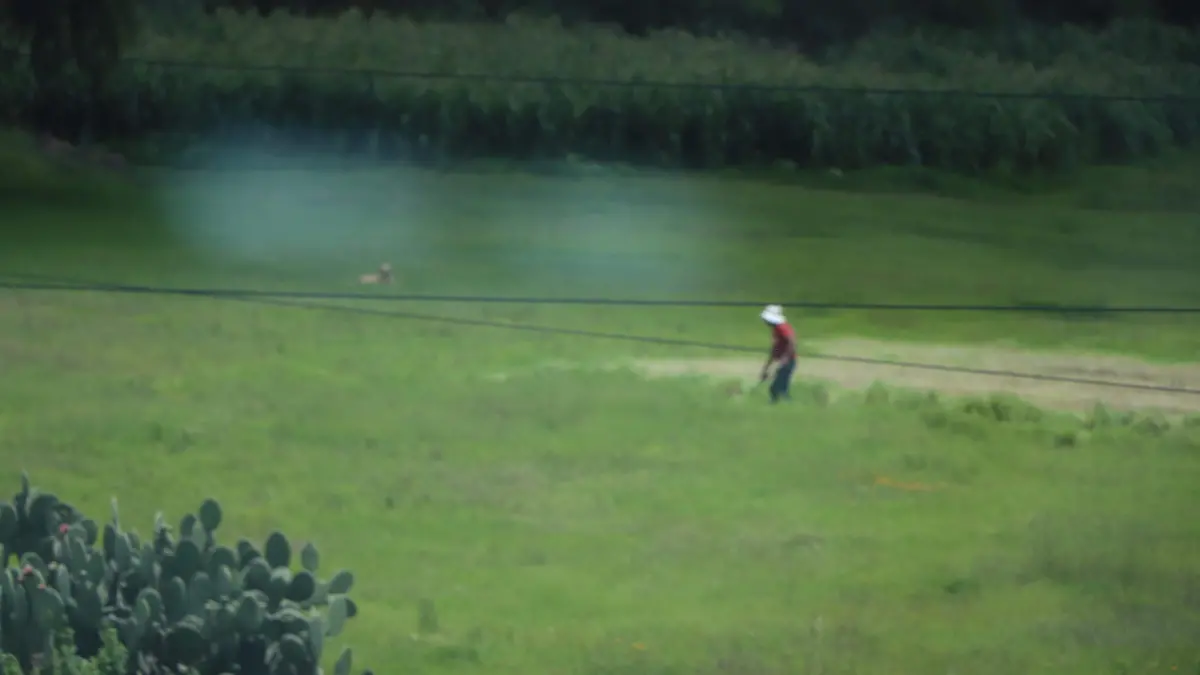 PRODUCTORES MAÍZ CAMPO (6)
