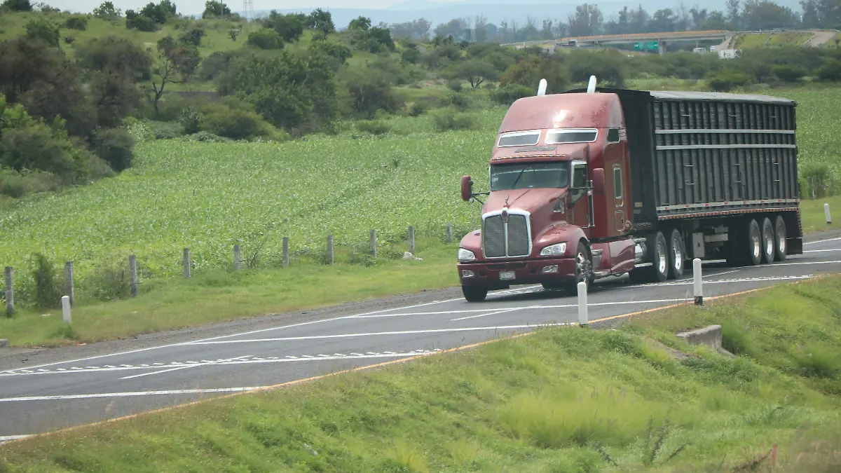 TRANSPORTISTAS CARGA MERCANCIAS (4)
