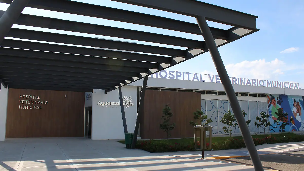 HOSPITAL VETERINARIO (2)