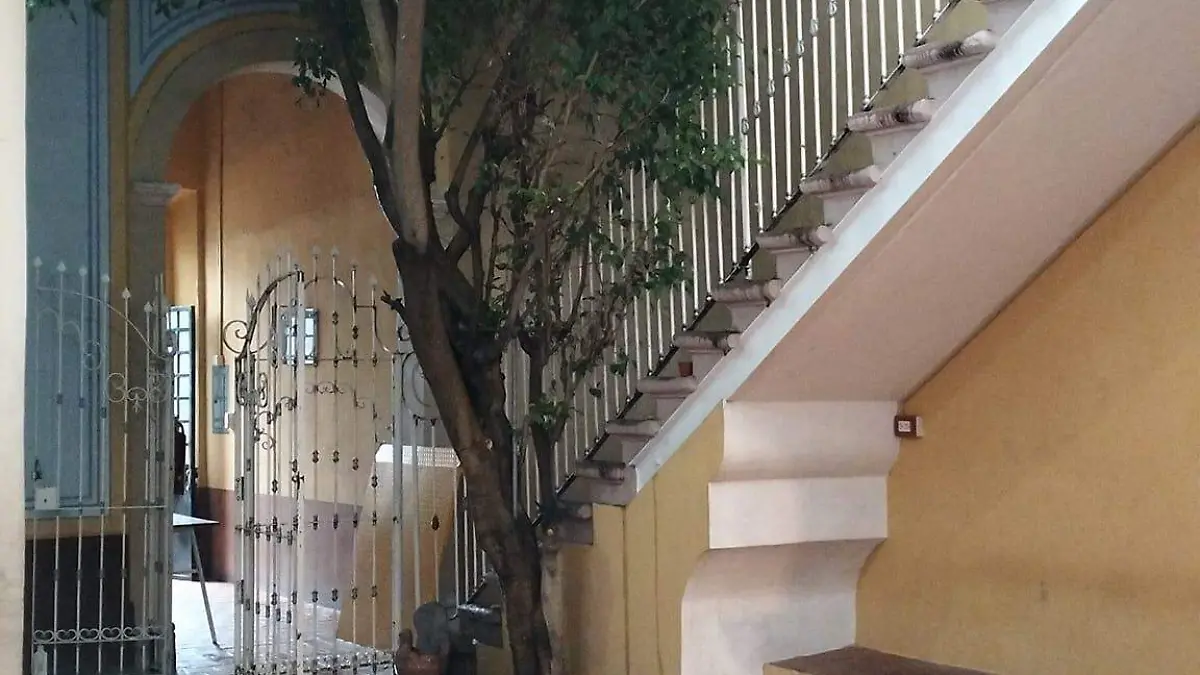 INTERNADO_PRESENTACION_PELICULA