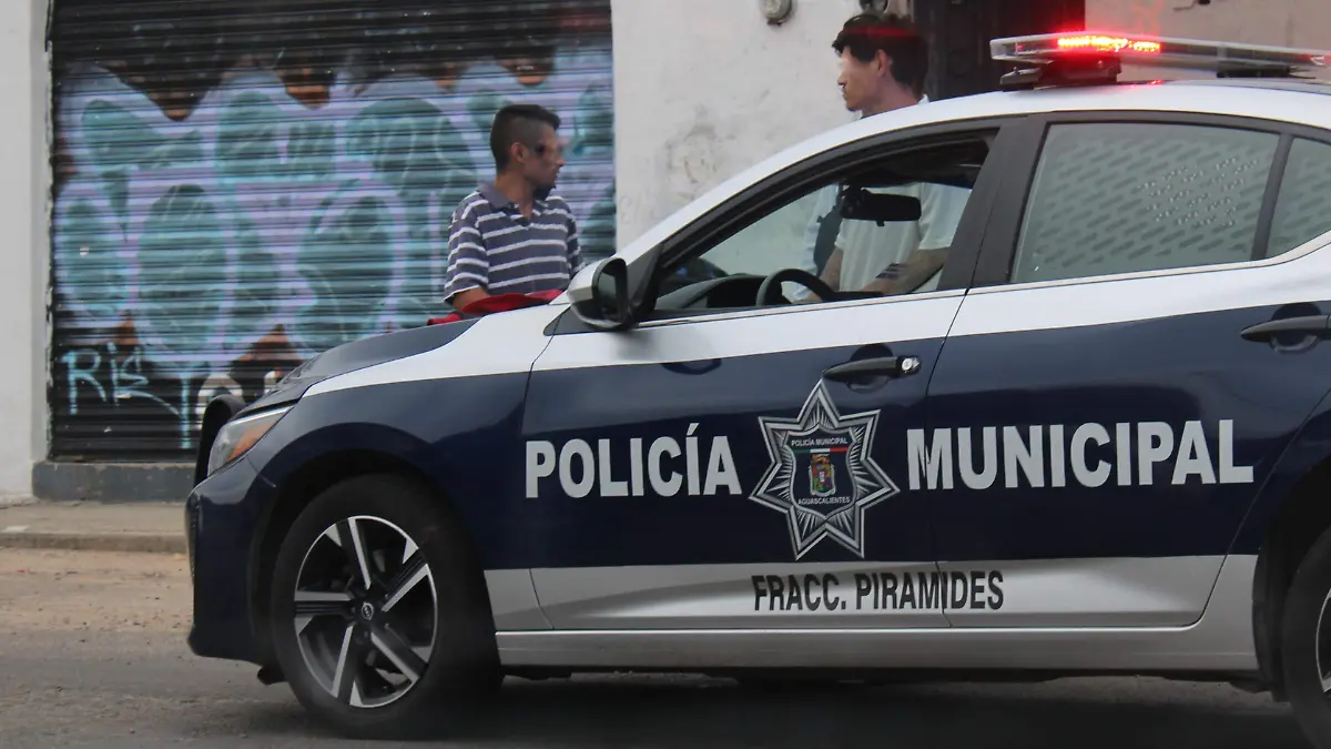 PANDILLAS-REDUCCIÓN-INSEGURIDAD