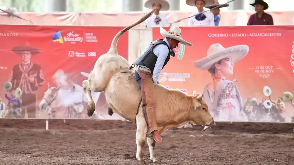 HOTELERÍA-TURISMO-VISITANTES