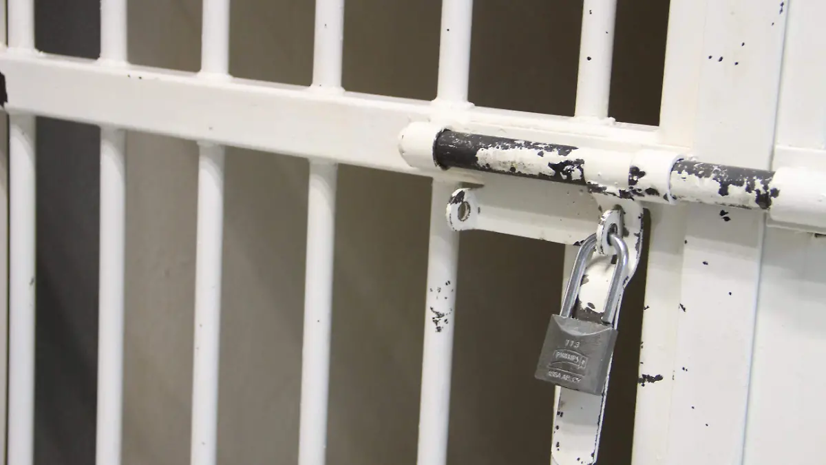 ROBO TEMPLO_VINCULACIÓN A PROCESO