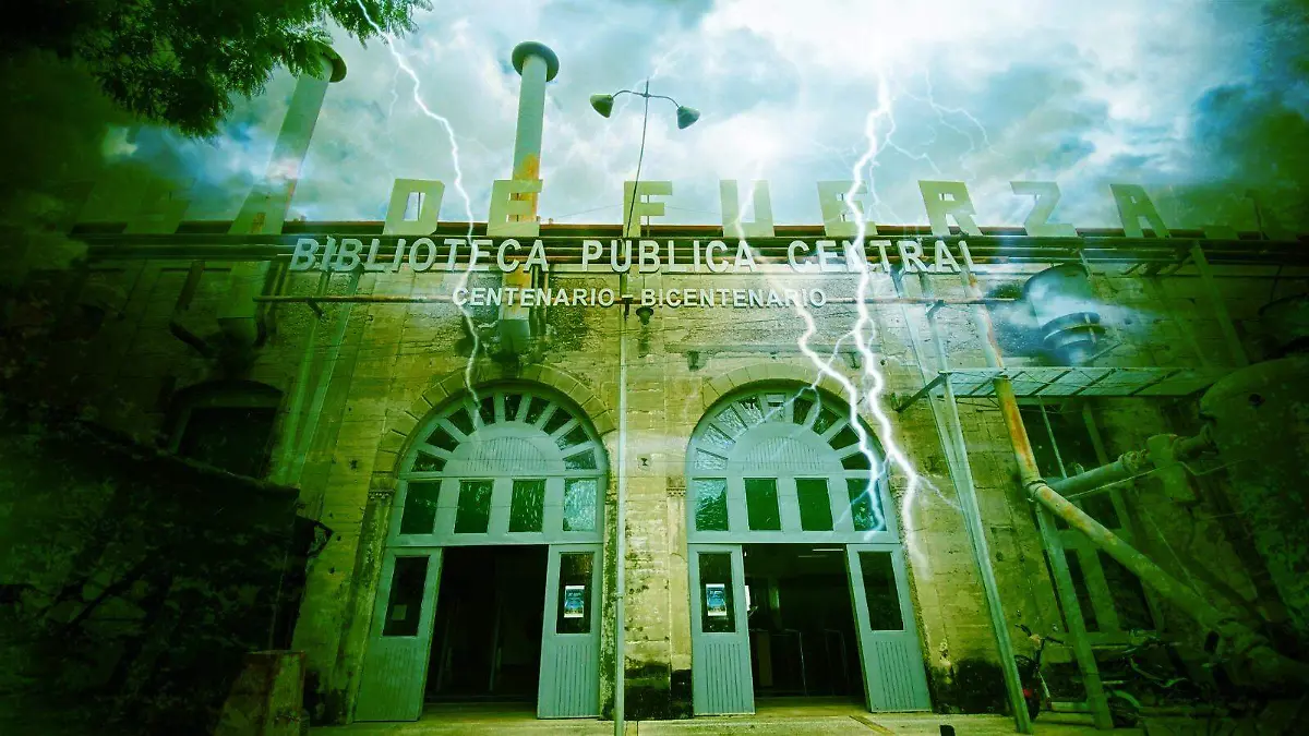 WhatsApp Image 2025-10-29 at 2.37.53 PM