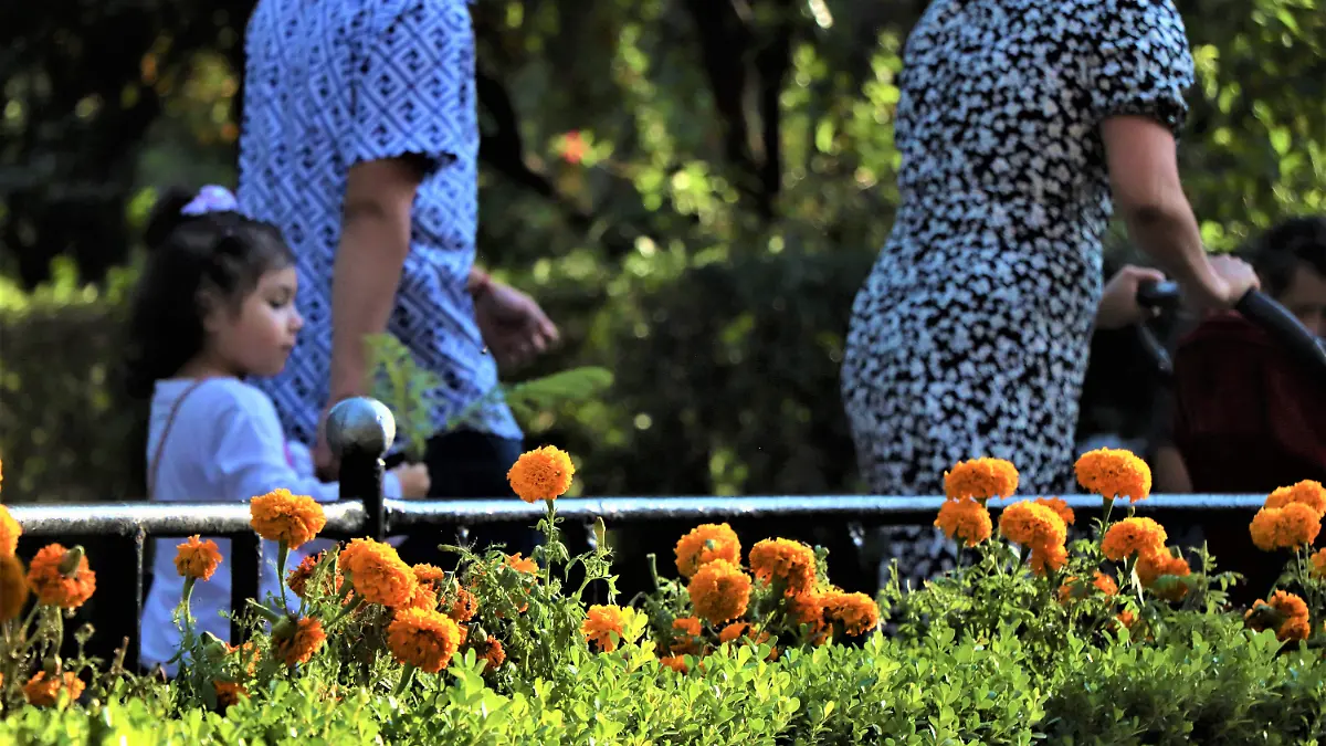 ESPECIAL 9 PAPAS CON BEBÉS