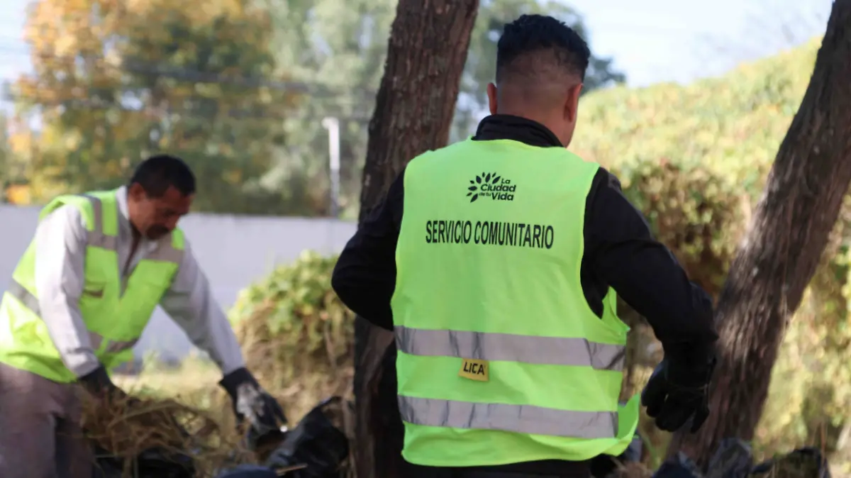 Captura de pantalla 2025-10-31 a la(s) 15.54.32