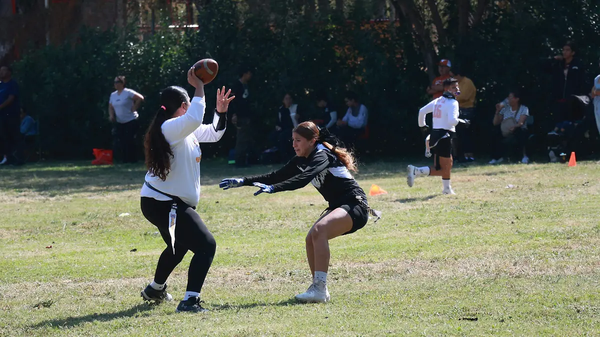 WhatsApp Image 2025-11-02 at 5.02.32 PM (2)