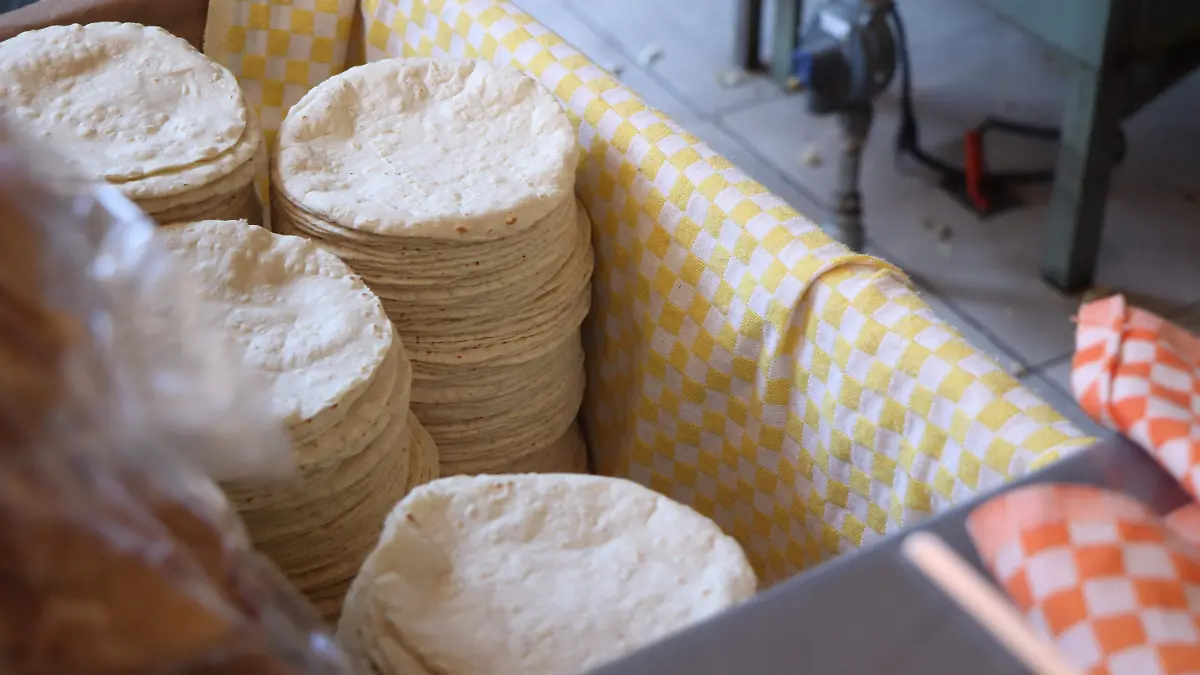 KILO DE TORTILLAS_PRECIOS_MAIZ
