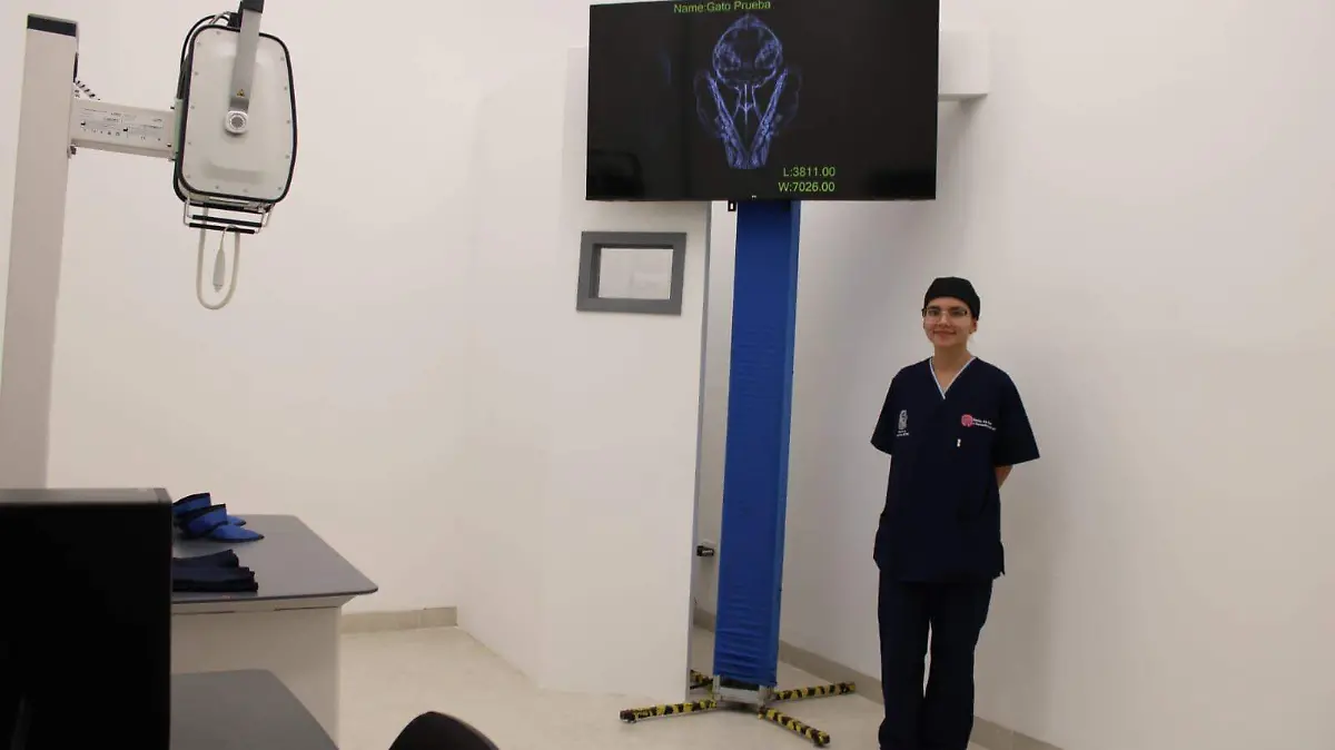 HOSPITAL VETERINARIO-MASCOTAS-ATENCION