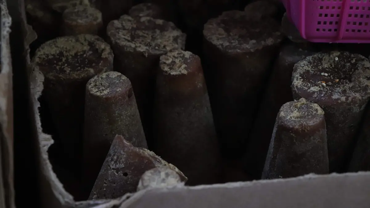 SABORES-TEMPORADA-FRUTAS