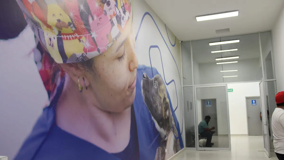 HOSPITAL VETERINARIO_MUNICIPAL_ATECIÓN 