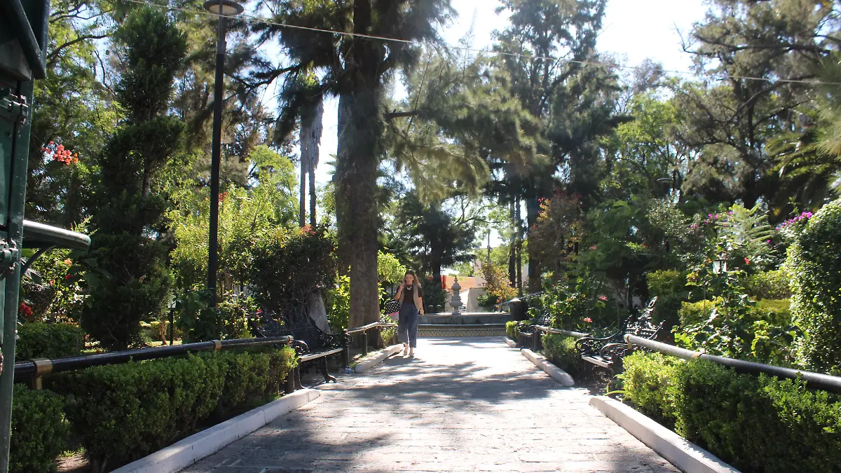 PAZ_JARDINES_EL ENCINO_AGUASCALIENTES