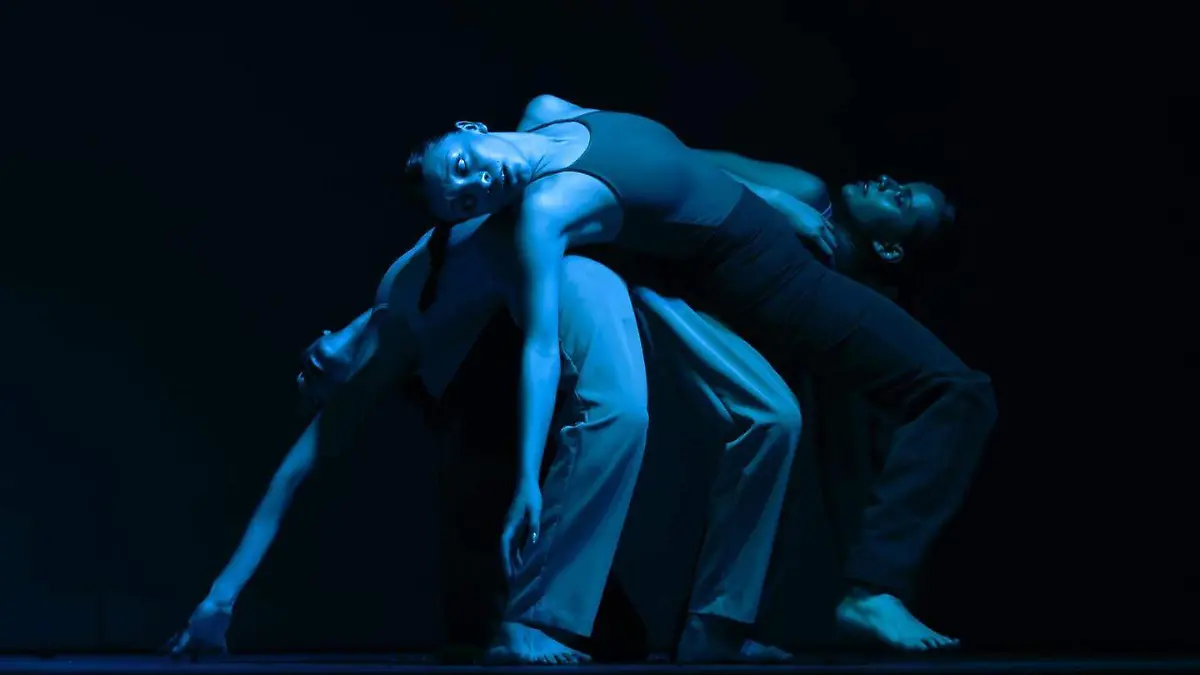 COSMOS_MUSEO_FERIA UNIVERSITARIAS