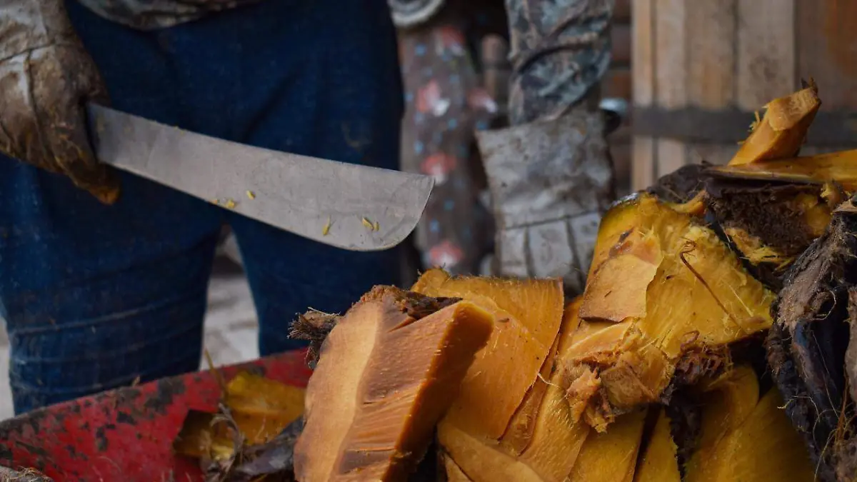 MEZCAL-DENOMINACIÓN-ORIGEN