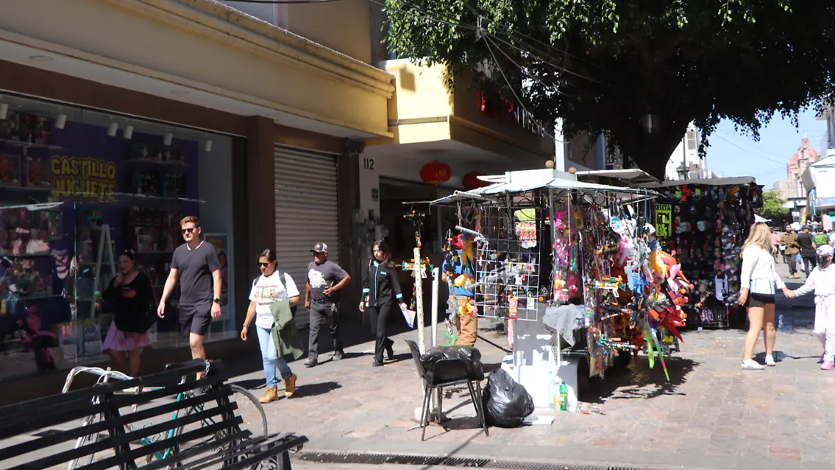 COMERCIOS CENTRO BUEN FIN  (4)