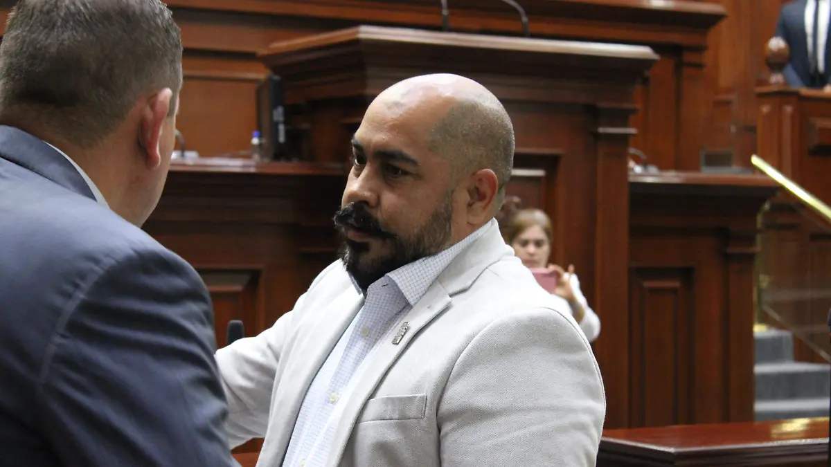 DIPUTADO TRINIDAD MARIN_AGS