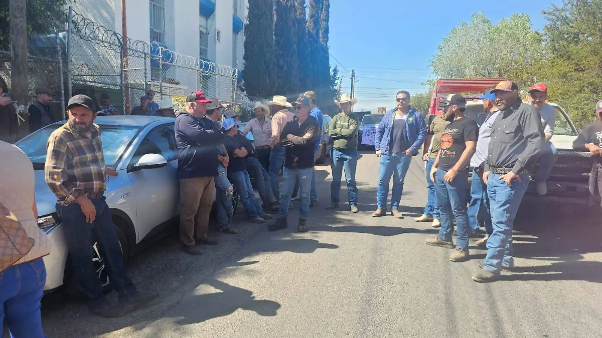 WhatsApp Image 2025-11-12 at 12.20.25 PM