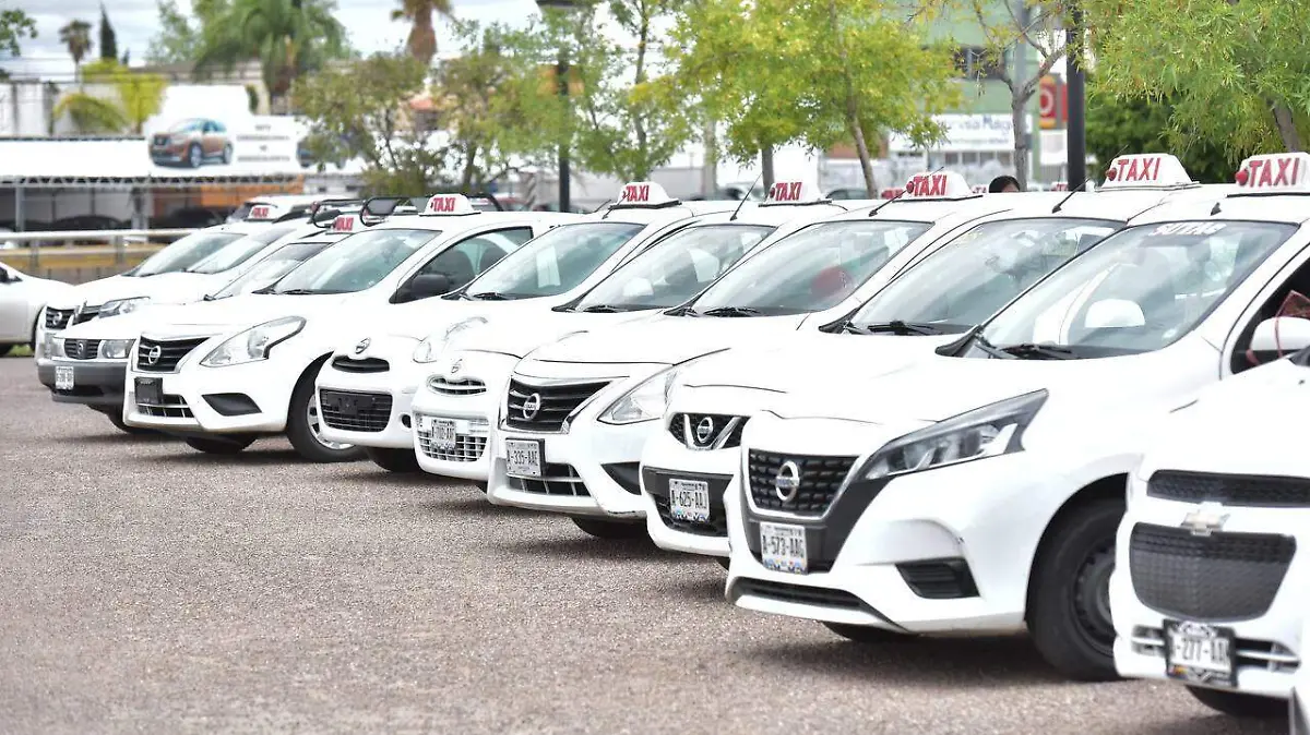 WhatsApp Image 2024-07-14 at 11.27.30