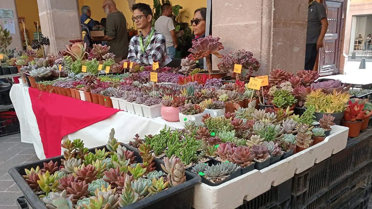 CÁCTUS_CACTACEAS_TALLERES_ICA