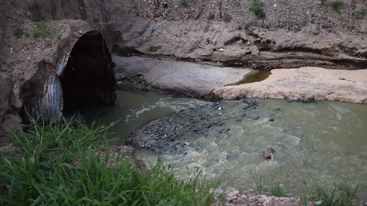 DIA DE LOS INODOROS_BAÑOS_SANIDAD