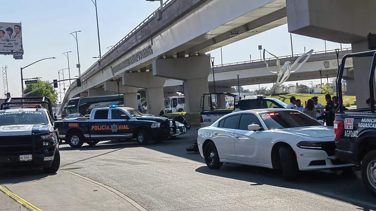 WhatsApp Image 2025-11-19 at 10.50.44 AM (1)