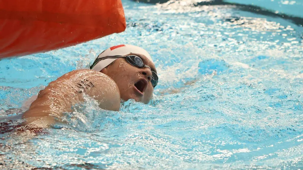 WhatsApp Image 2025-11-19 at 4.25.50 PM