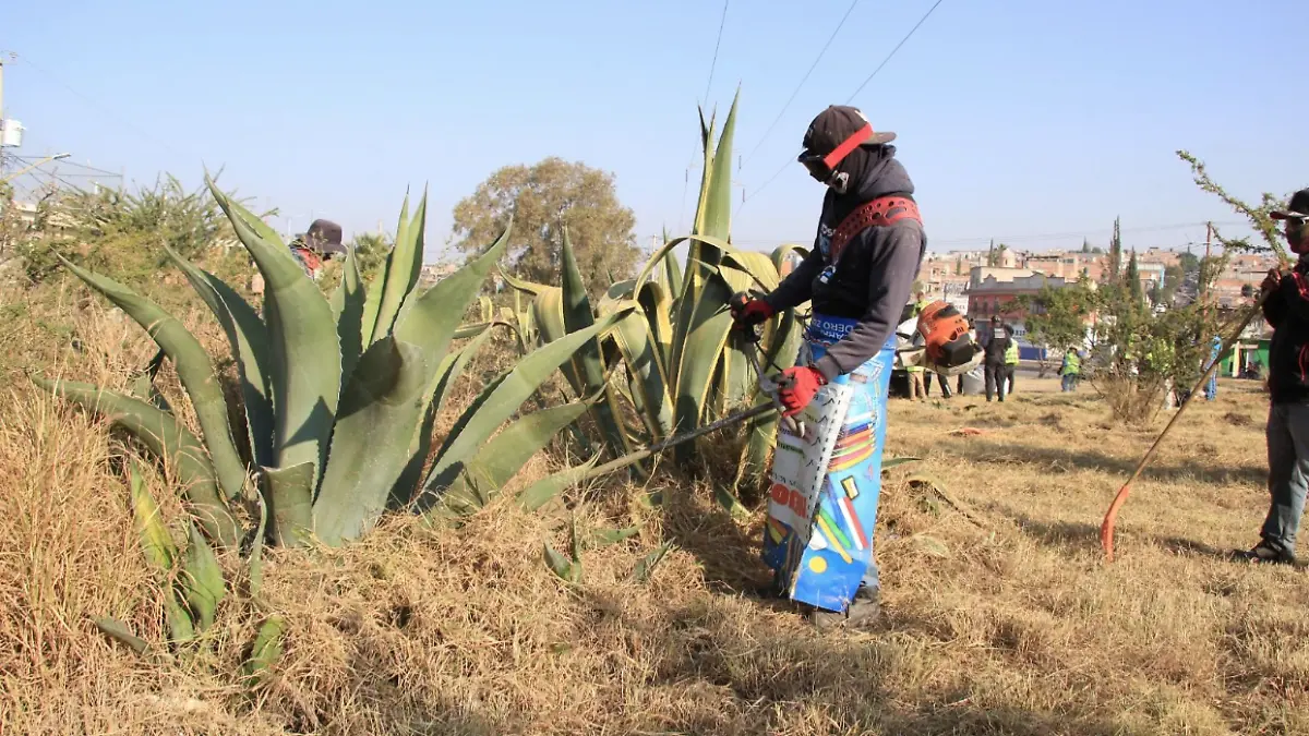 Captura de pantalla 2025-11-20 a la(s) 15.19.14