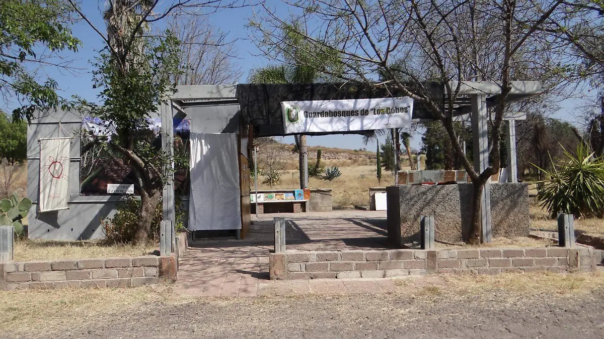 COBOS-GUARDABOSQUES-ACTIVIDADES