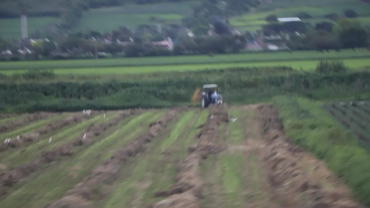 PRODUCTORES_COSECHA_LEY DEL AGUAS