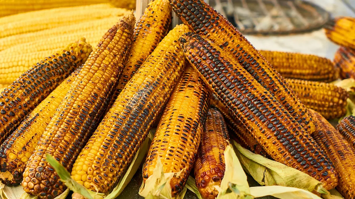 MAIZ-PRODUCCIÓN-CAMPO