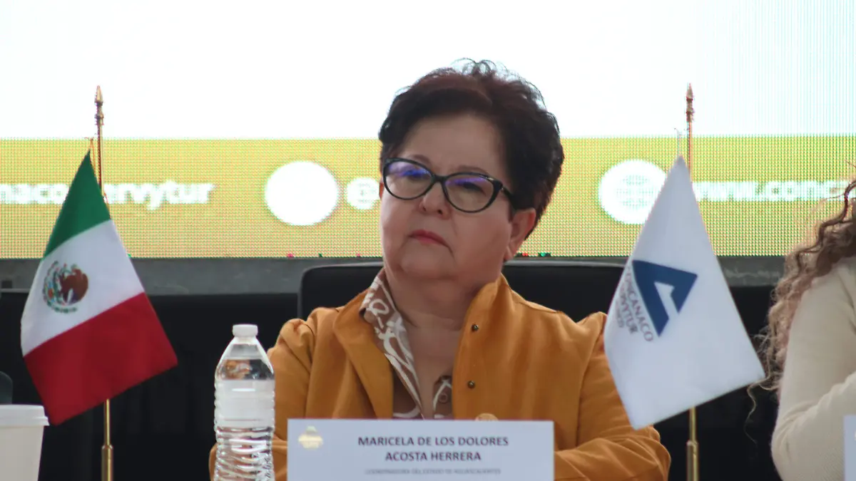 COMERCIOS_BUEN FIN_BUENAS VENTAS