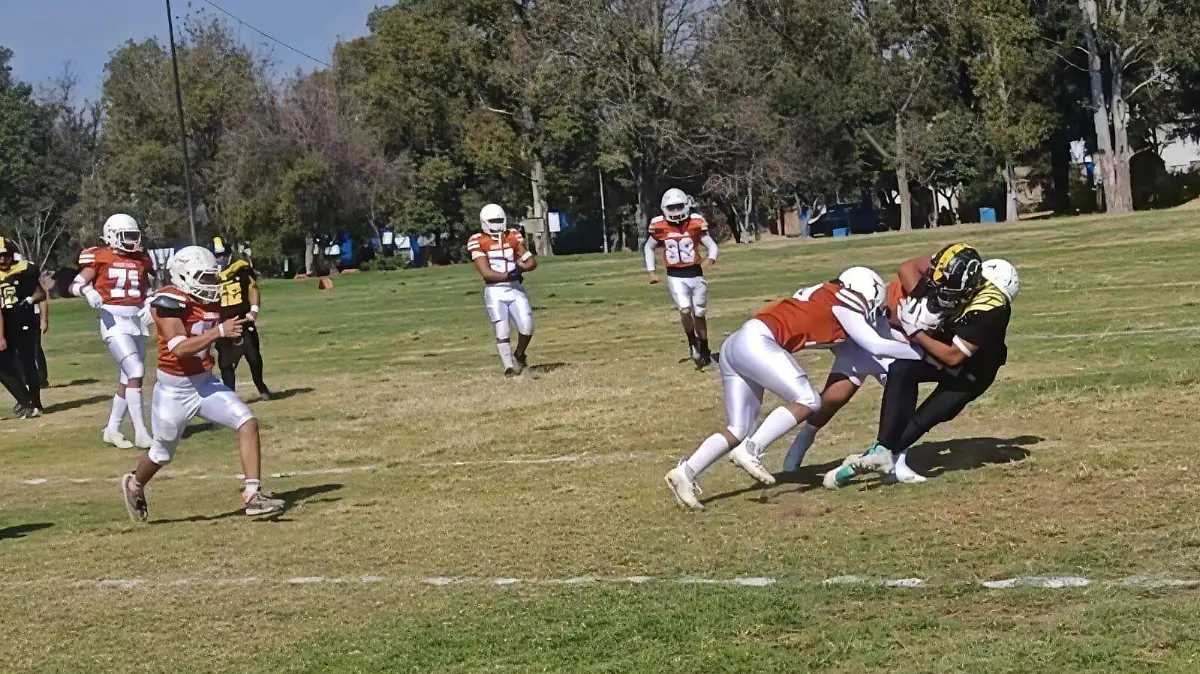 CUERNOS LARGOS-CAMPEON-PARTIDO