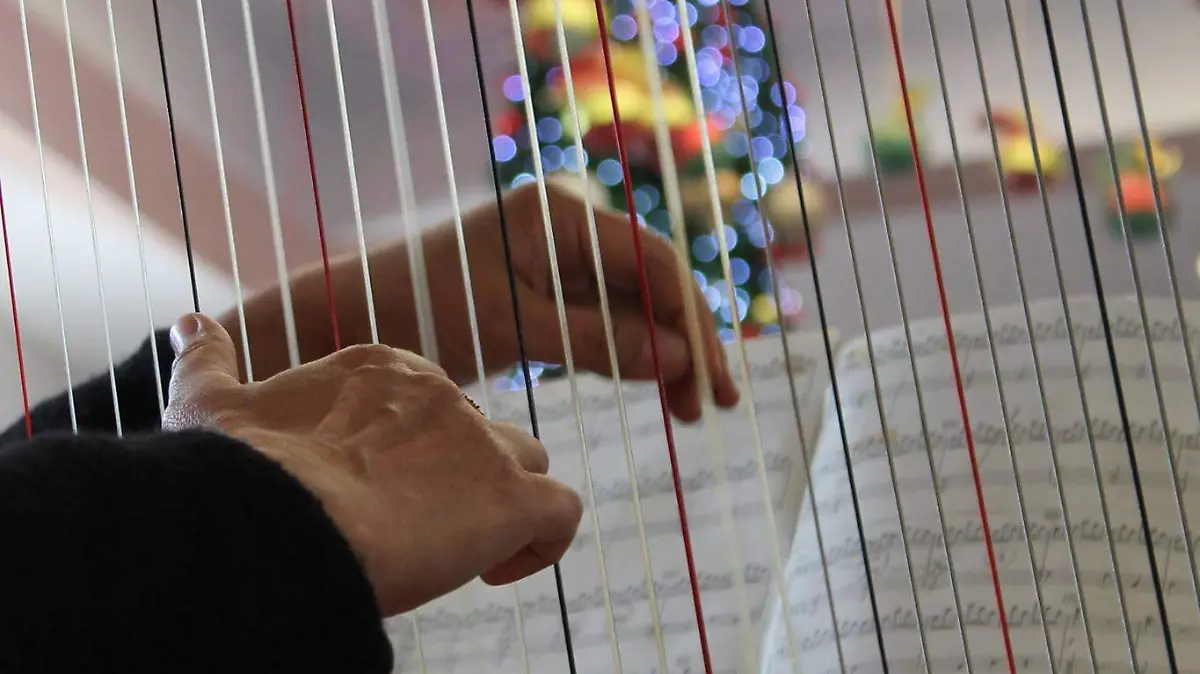 CONCIERTOS NAVIDEÑOS_VILLANCICOS