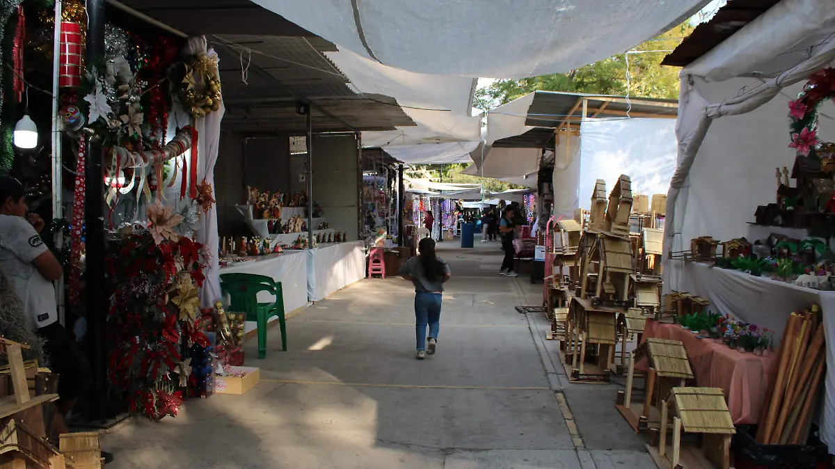 JARDIN CARPIO-TIANGUIS-HISTORIA