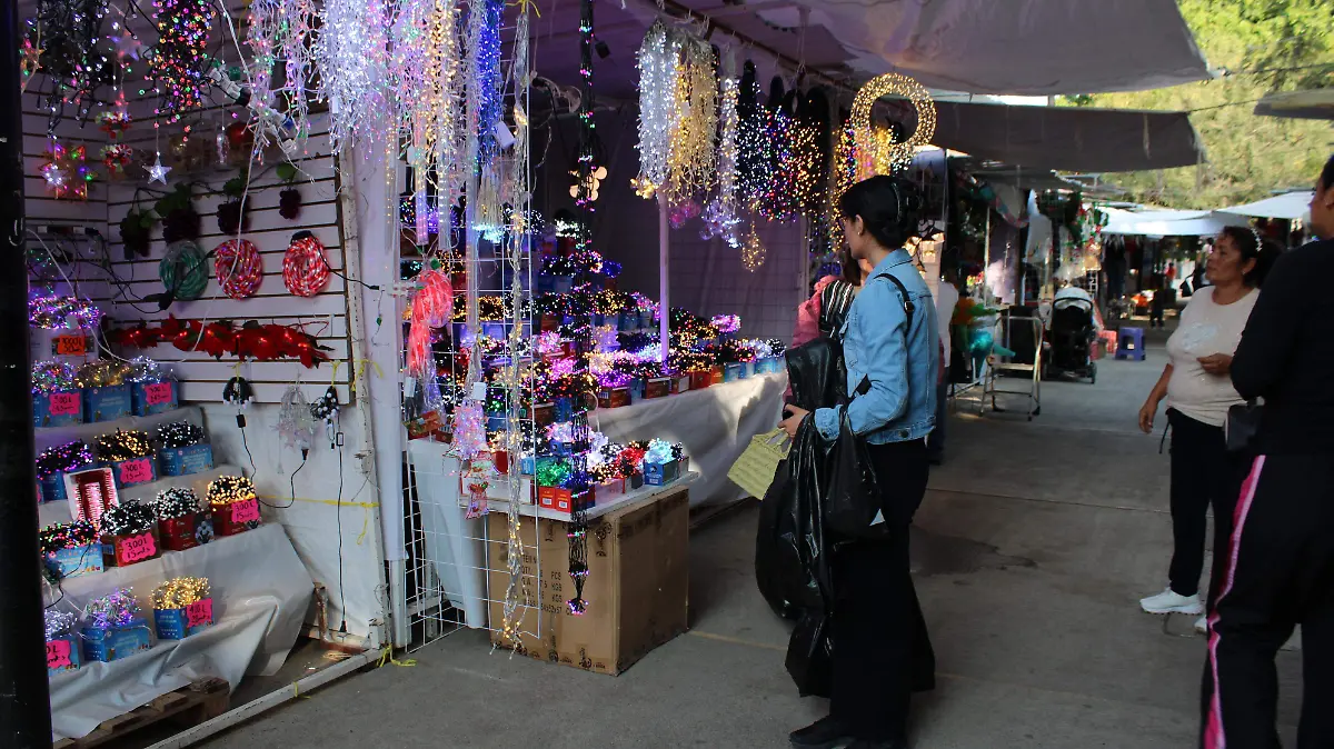 JARDIN CARPIO-TIANGUIS-HISTORIA