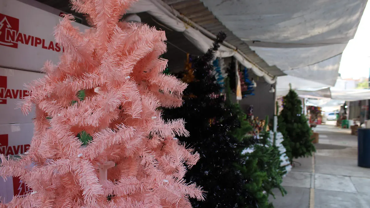 JARDIN CARPIO-TIANGUIS-HISTORIA